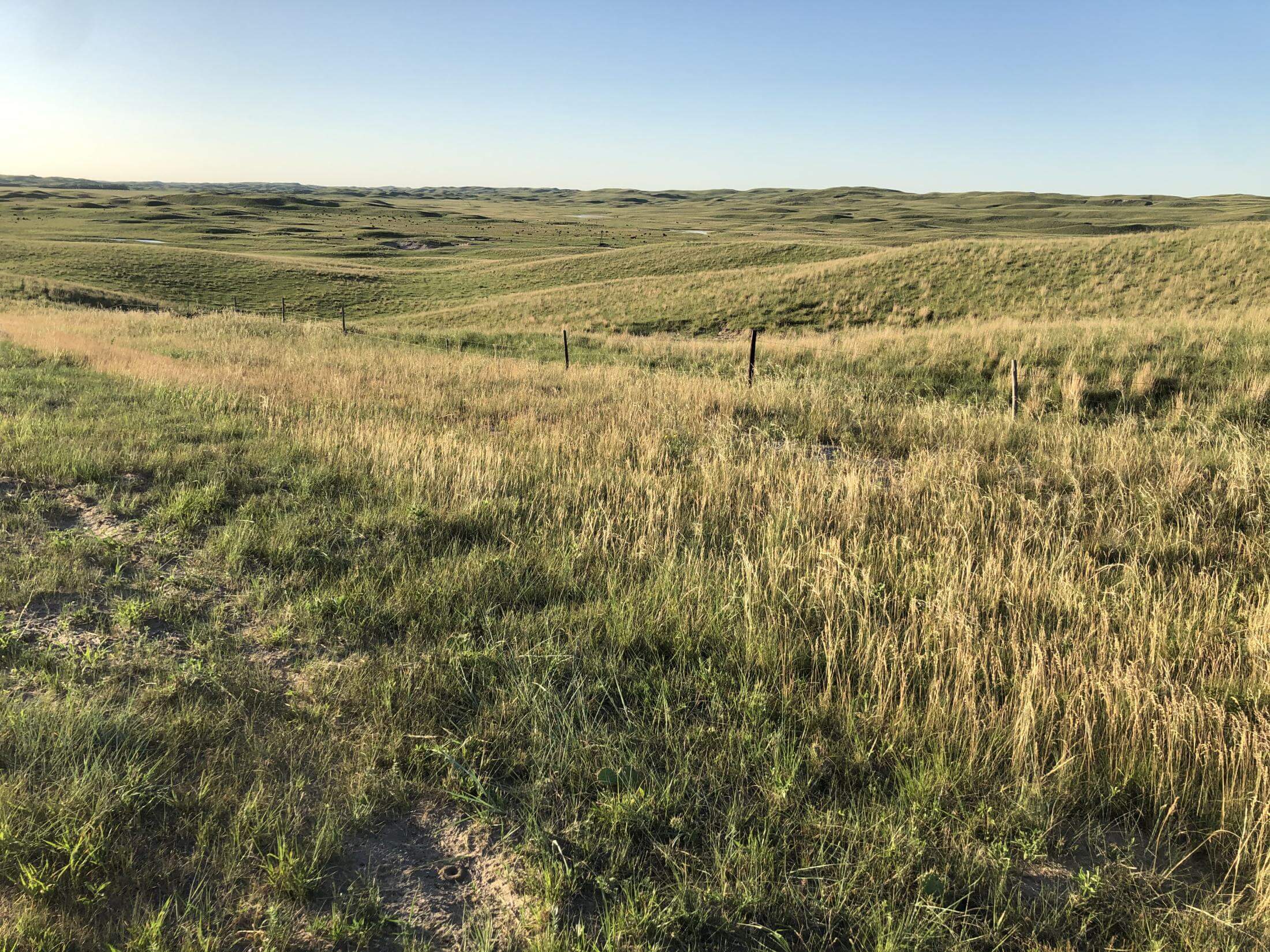 Rolling Sandhills grassland with a fence line running through the foreground.
